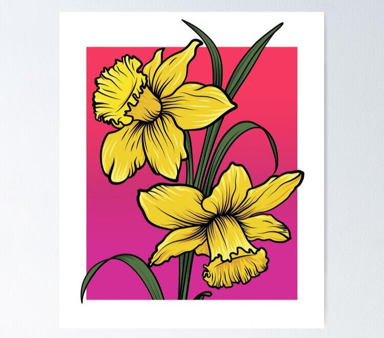 Daffodils Gradient