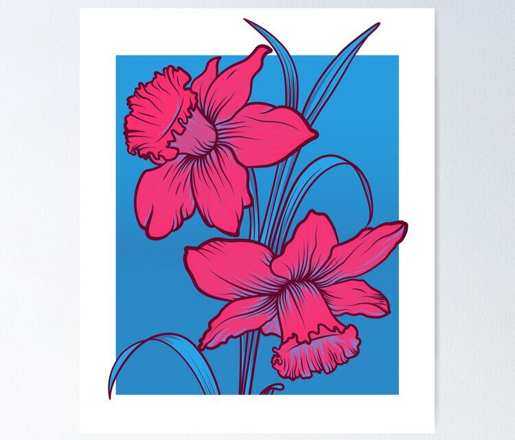 Daffodils Alt Colour